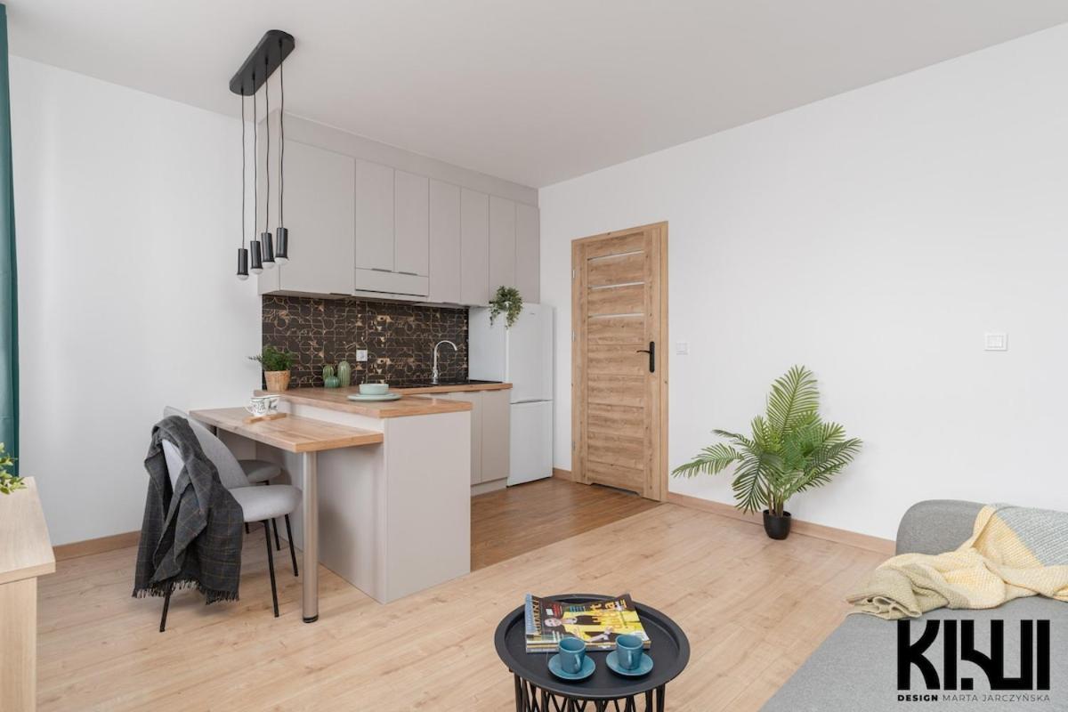 Apartment Sanocka Spot, Hospital Kopernika Lodz (Lodz)